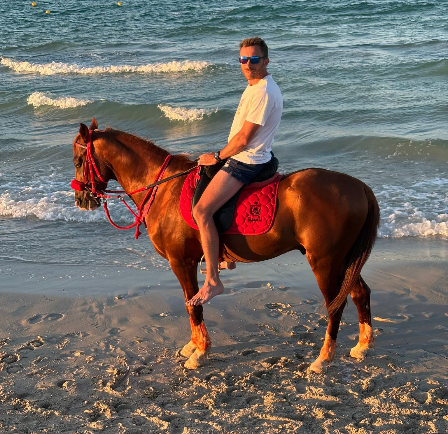 Balades Cheval